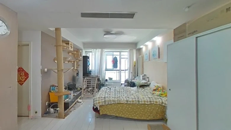 Tianxing Roosevelt - View 4