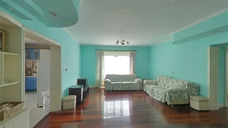 Millennium Dragon Garden Phase I - View 4