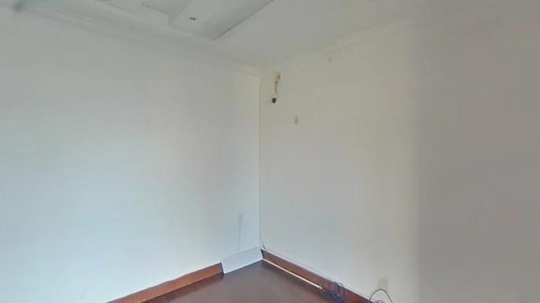 Three Chinese Garden - View 2