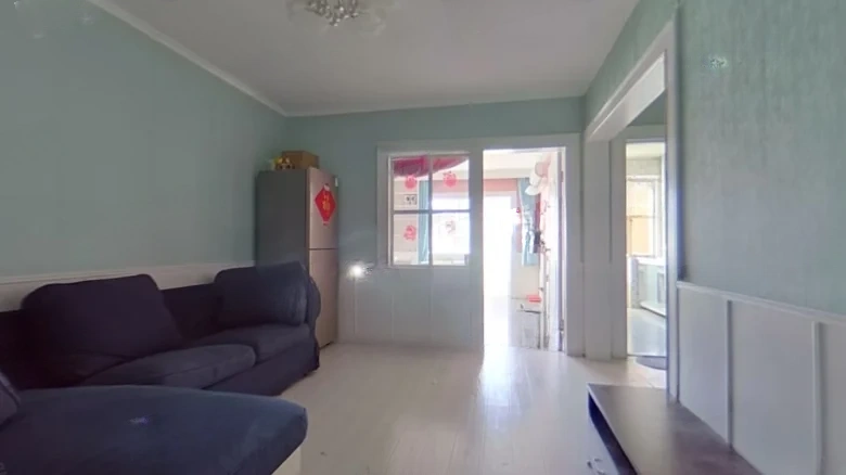 Anhui Dongli - View 2