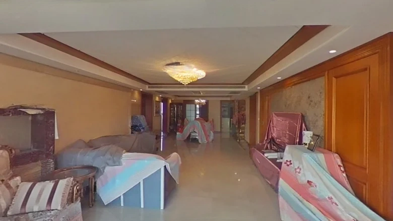 Lushang Prime Mansion - View 11