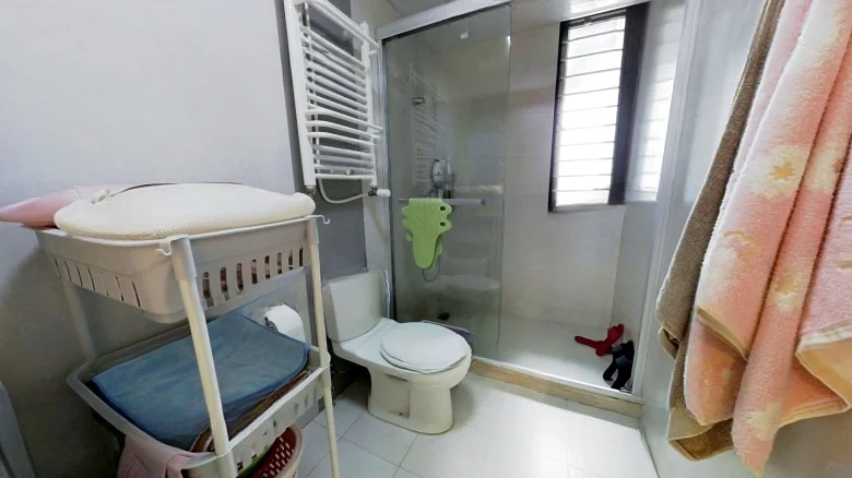 Left Bank of the Lake - View 8