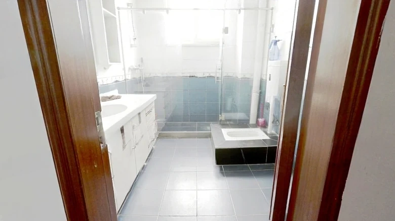 Millennium Dragon Garden Plaza - View 10