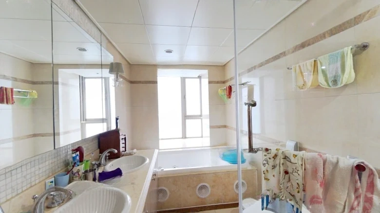 Shimao Riverside New City - View 9