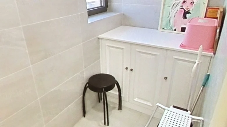 Shimao Xin Wuli River - View 17