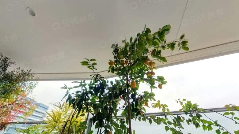 Pearl River Yide Mansion - View 10