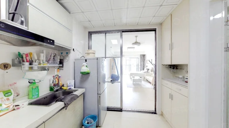 Swan Lake Shopping Center Imore Apartments - View 2