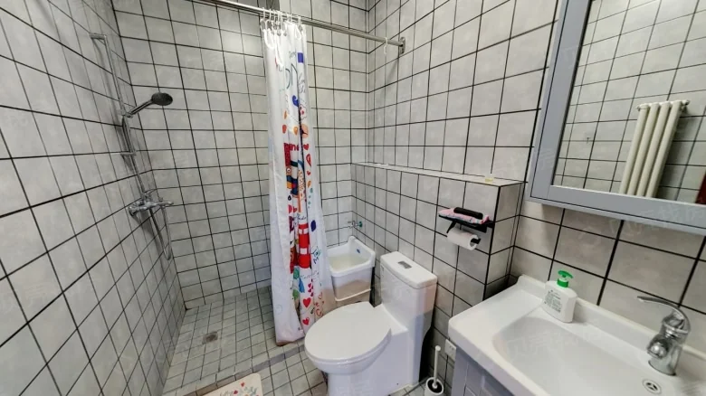 Lijing Garden - View 10