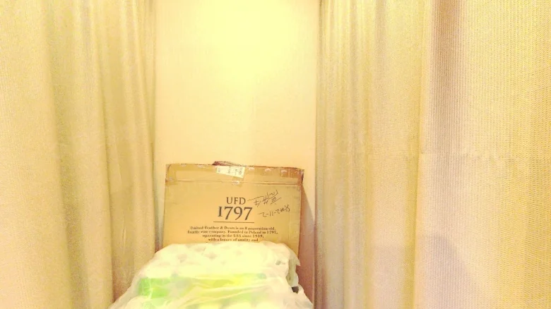 Crescent Splendor Mansion - View 12