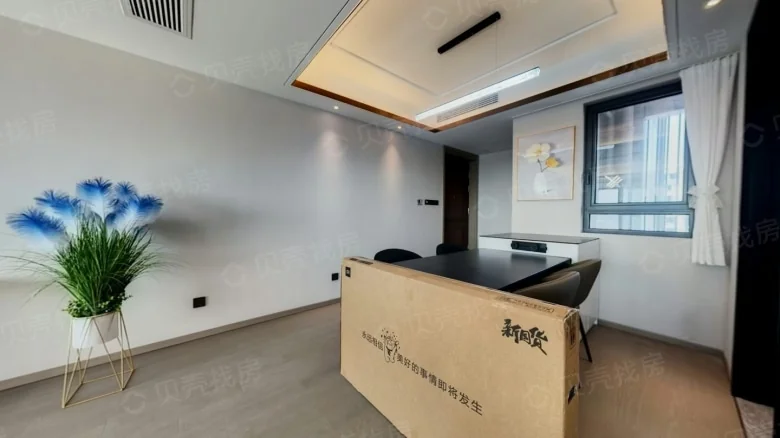 Silver City Filly and Wind - View 8